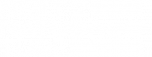 N2NTurf Logo 1